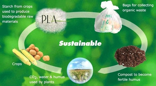 sustainable and renewable PLA coated products