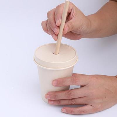bagasse 100% compostable coffee lids